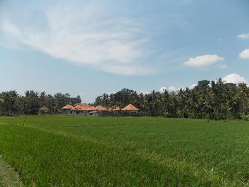 Asri Sari Villa Ubud Exterior foto